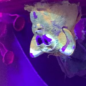 Meet your Posher, Kenneth